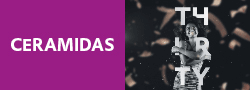 Evonik